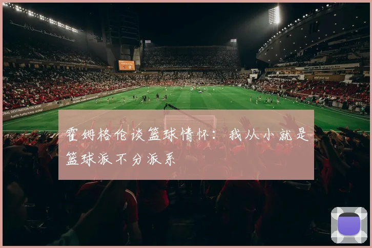 霍姆格伦谈篮球情怀：我从小就是篮球派不分派系