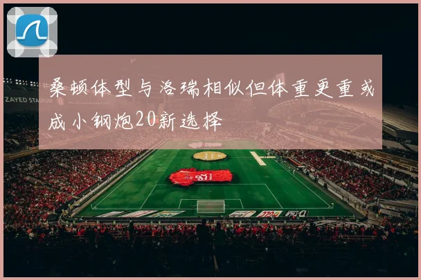 桑顿体型与洛瑞相似但体重更重或成小钢炮20新选择